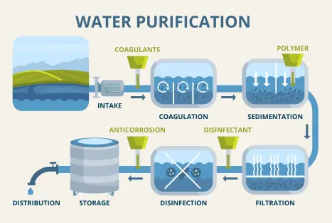 An illustration portraying how the water purification system works step by step.